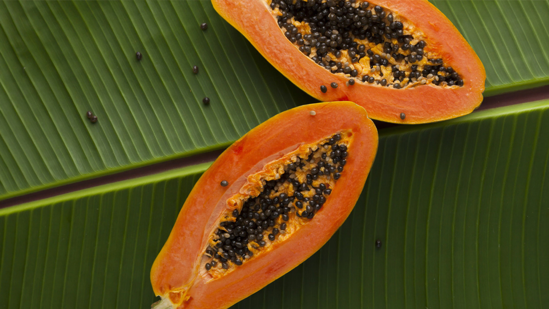 papaya_unsplash