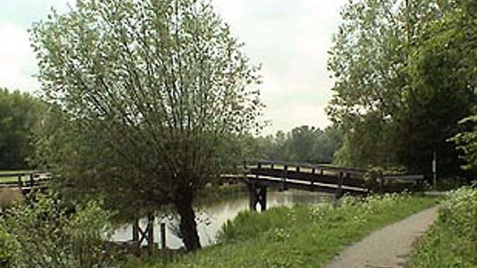 vv_newsimg_285513.jpg