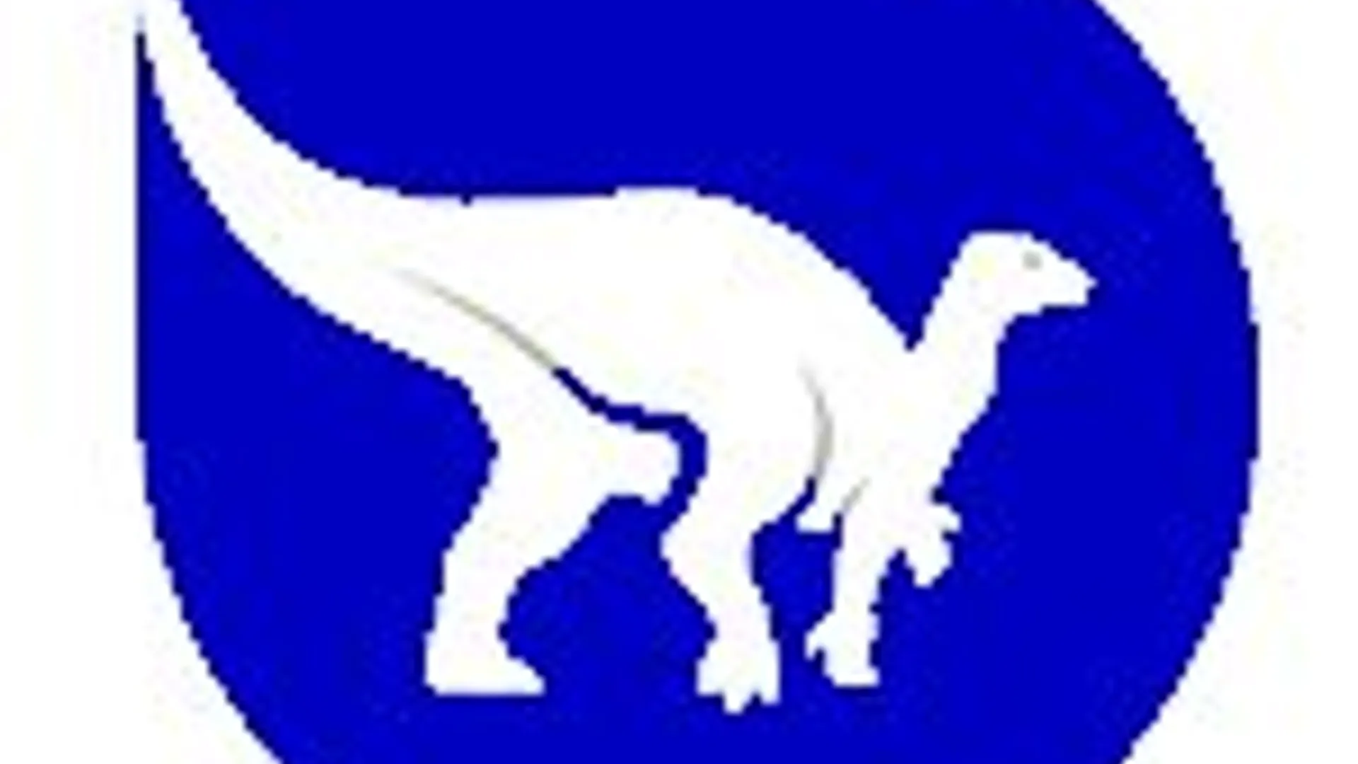 logo_irsnb_bleu.jpg