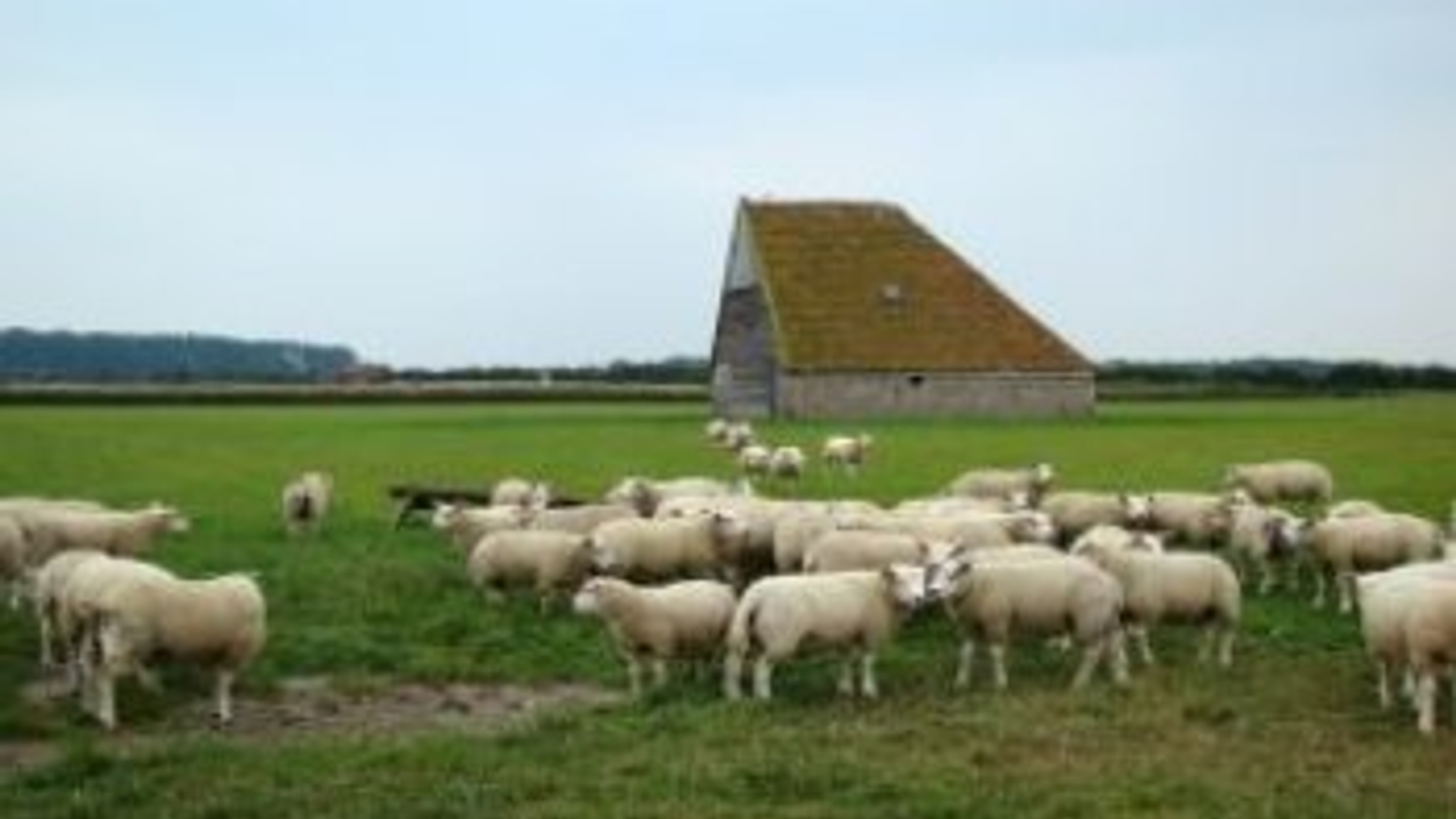 texel_07.jpg