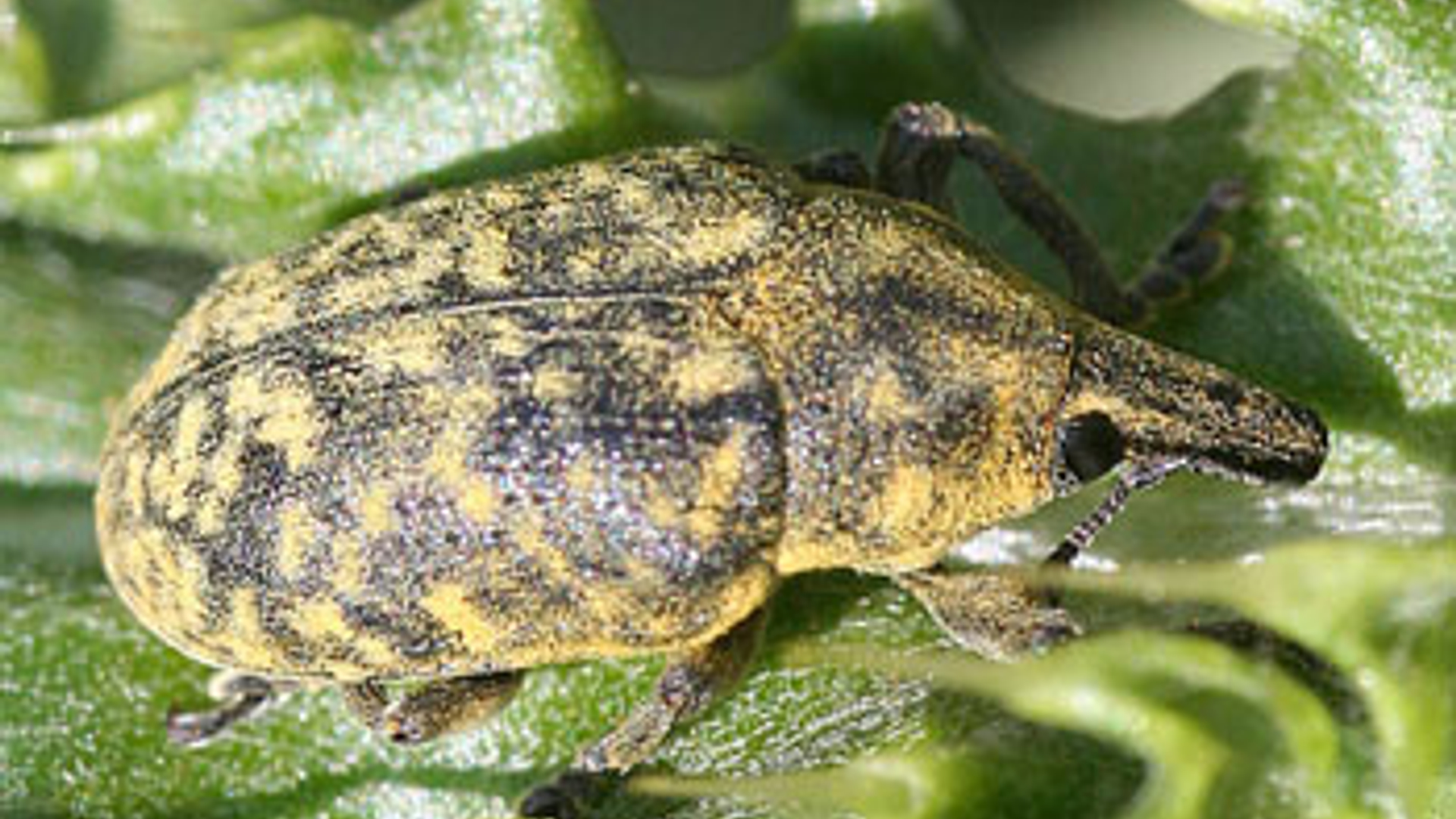 vv_newsimg_316027.jpg