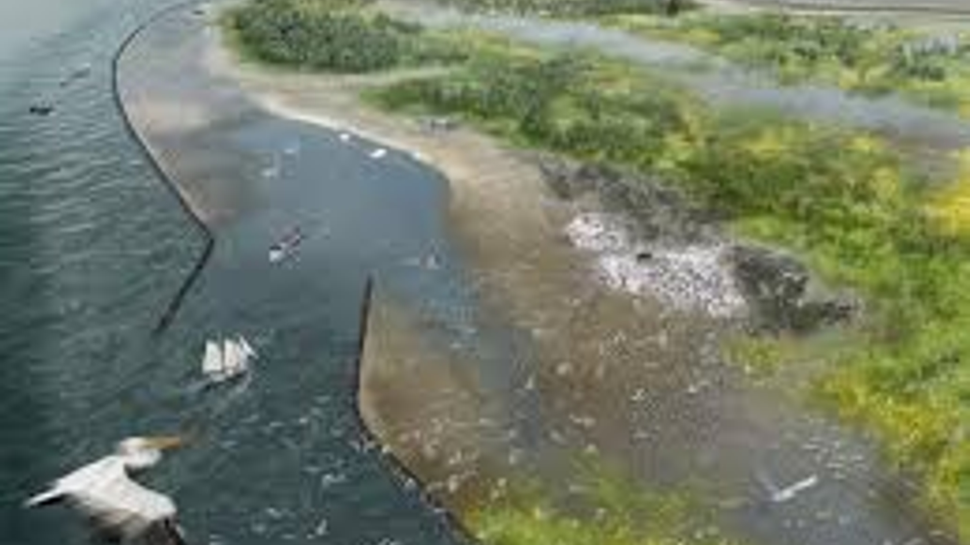 Markerwadden.jpg