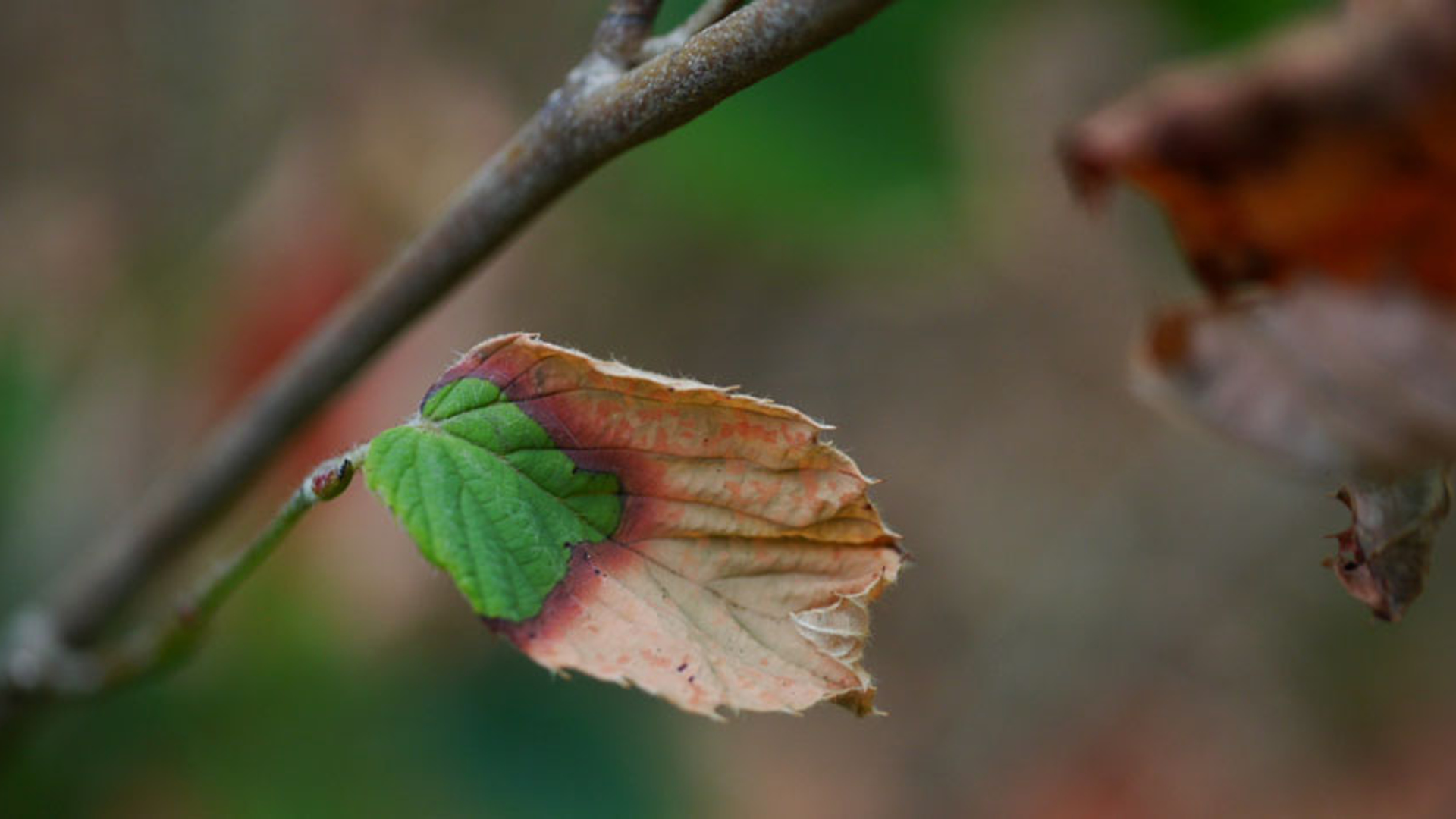 winnaar droogte in beeld