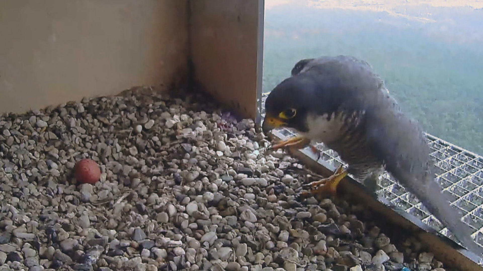 VV_VOORJAAR_2017_AFL_3_DDV_frame_32487