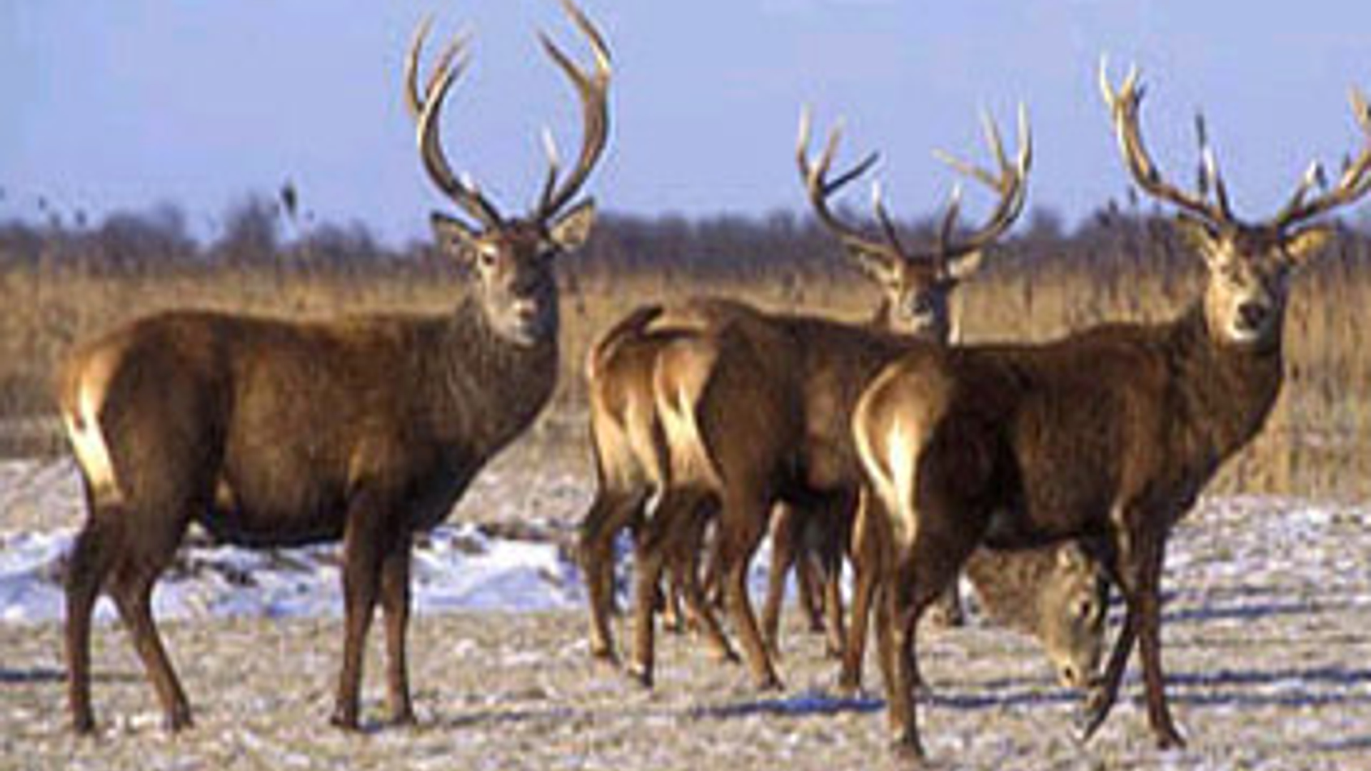 vv_newsimg_117020.jpg