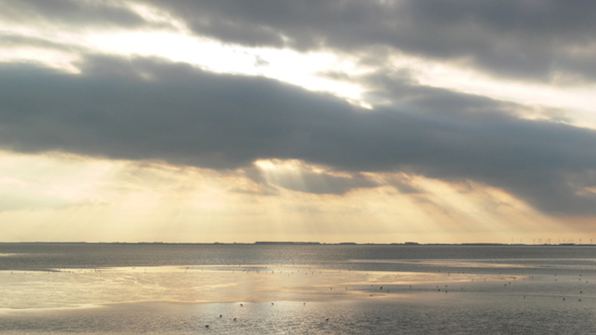 Lucht over de dollard