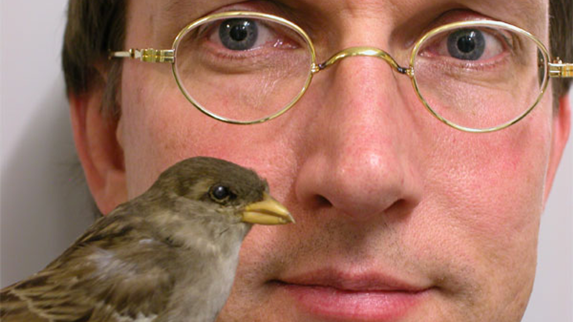 Kees_Moeliker_02.jpg