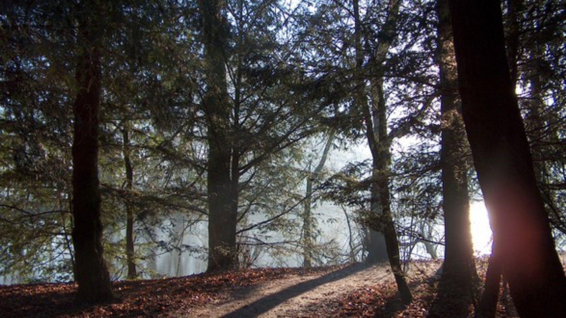 winter-in-the-netherlands-1402450.jpg