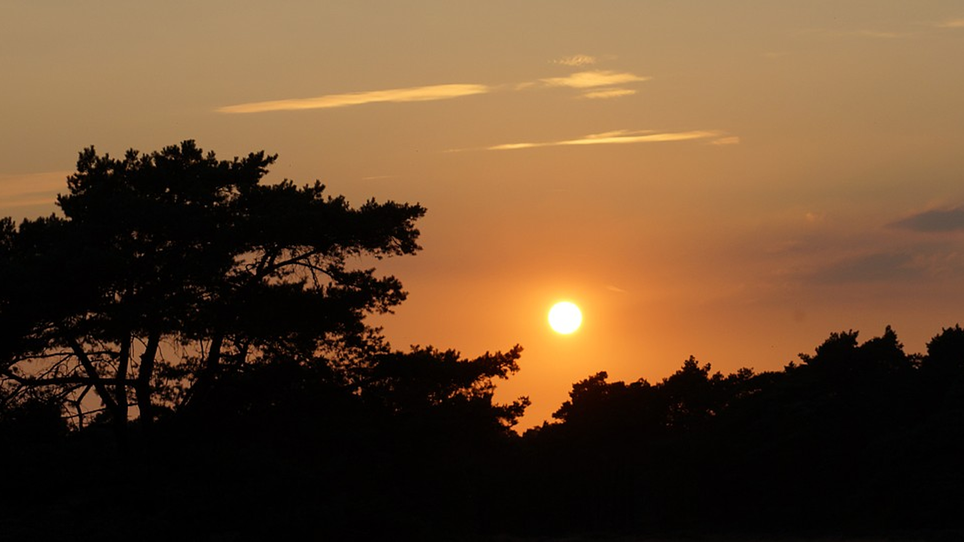 zonsondergang_veluwe.jpg