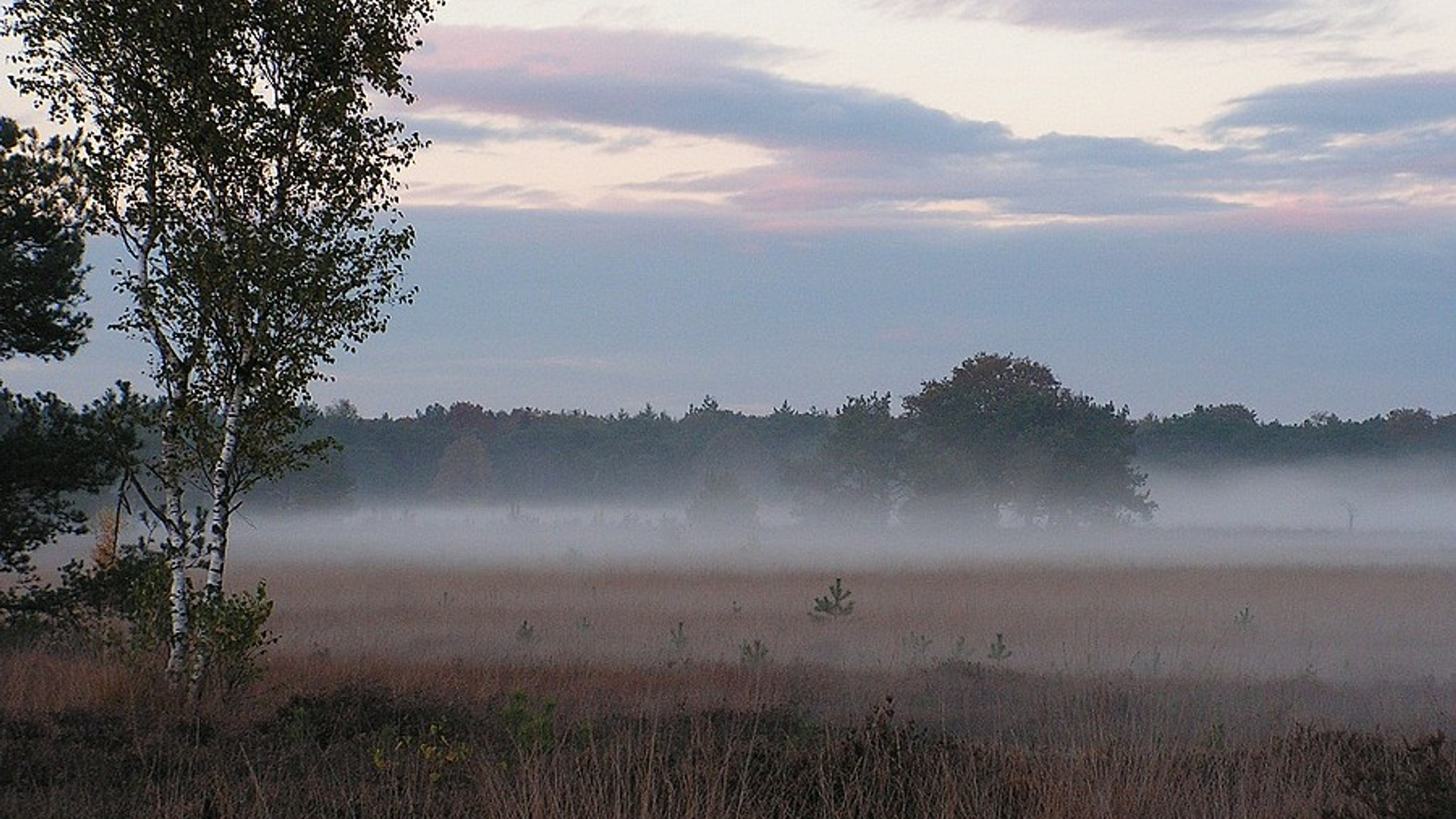 Oirschotse heide
