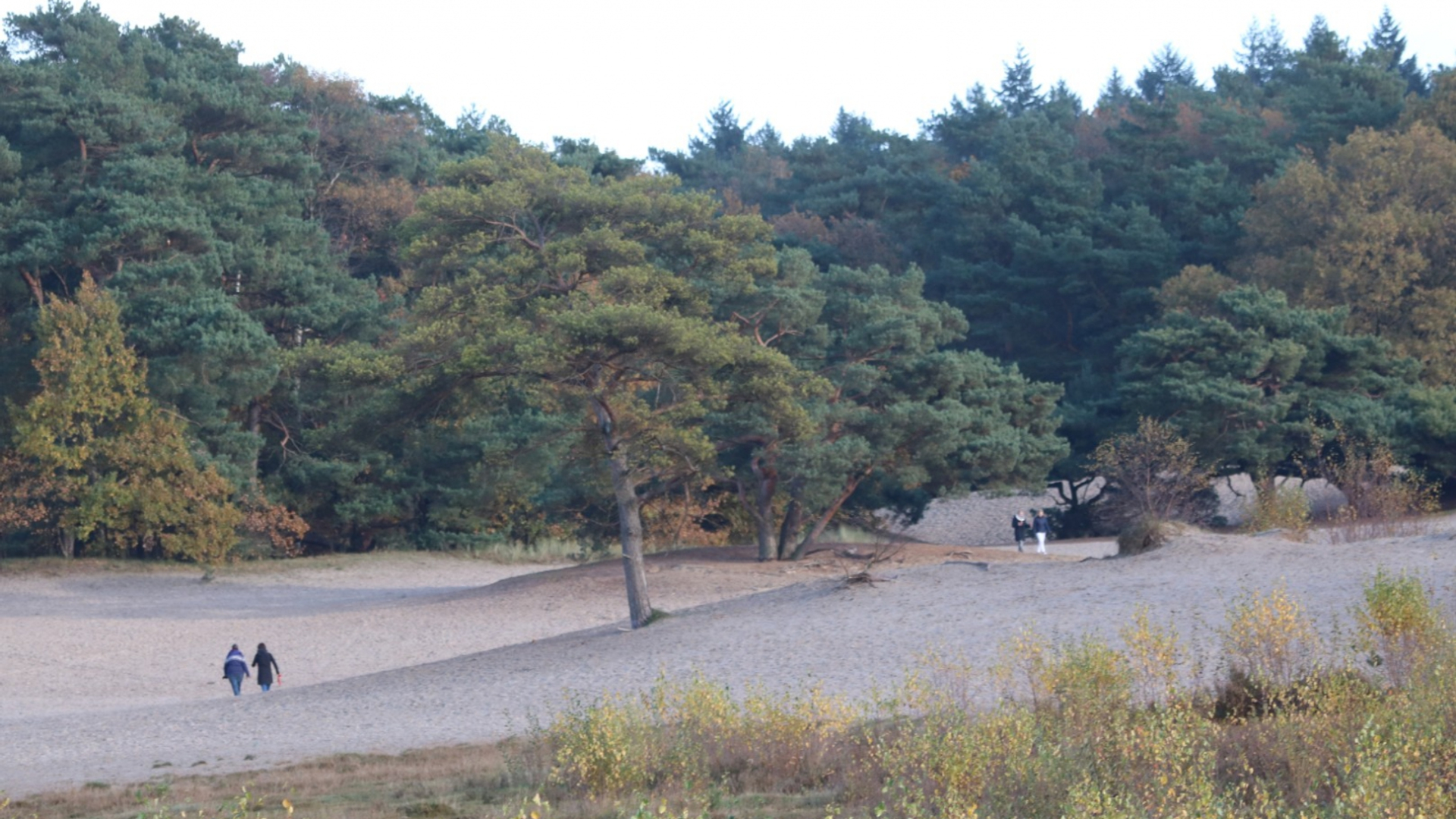 lange_duinen_soest_5a0d912a5dff7_large