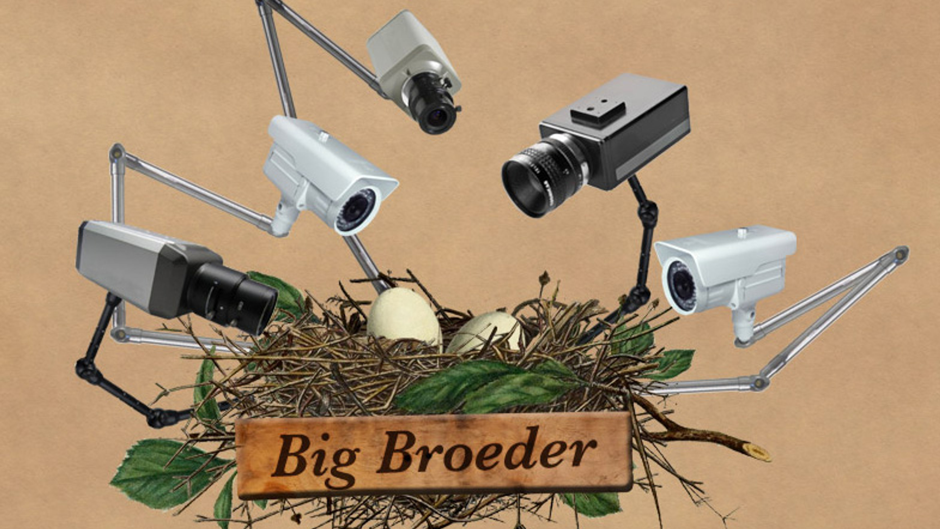 bigbroeder_vogels.jpg