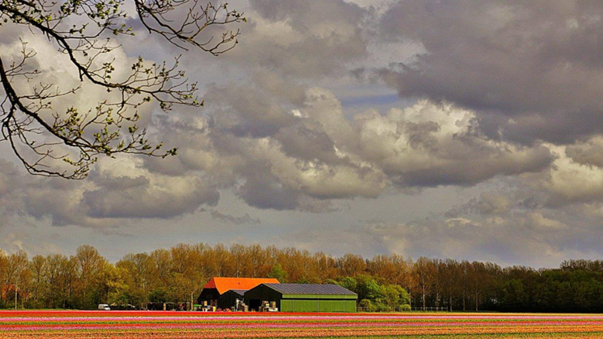 landschap