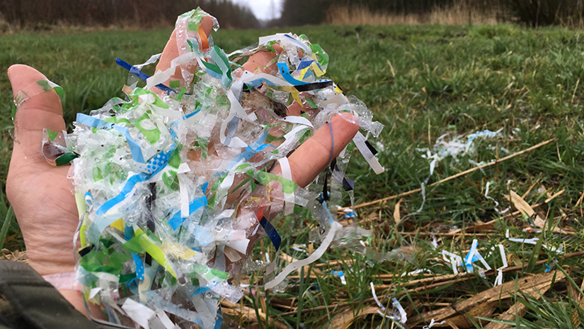 plastic natuurmonumenten