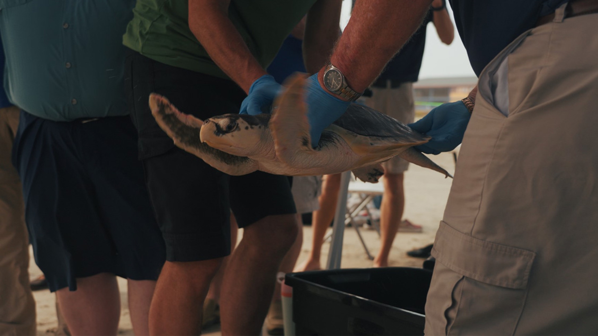 NIET HERGEBRUIKEN SCHILDPAD