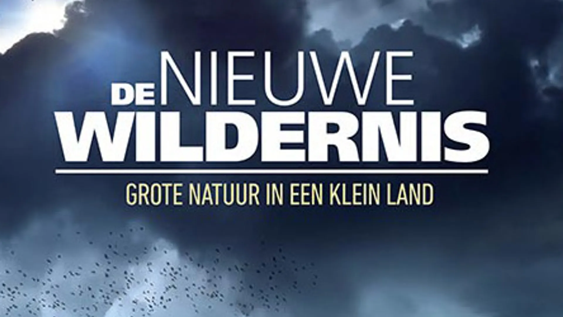 poster_dnw.jpg