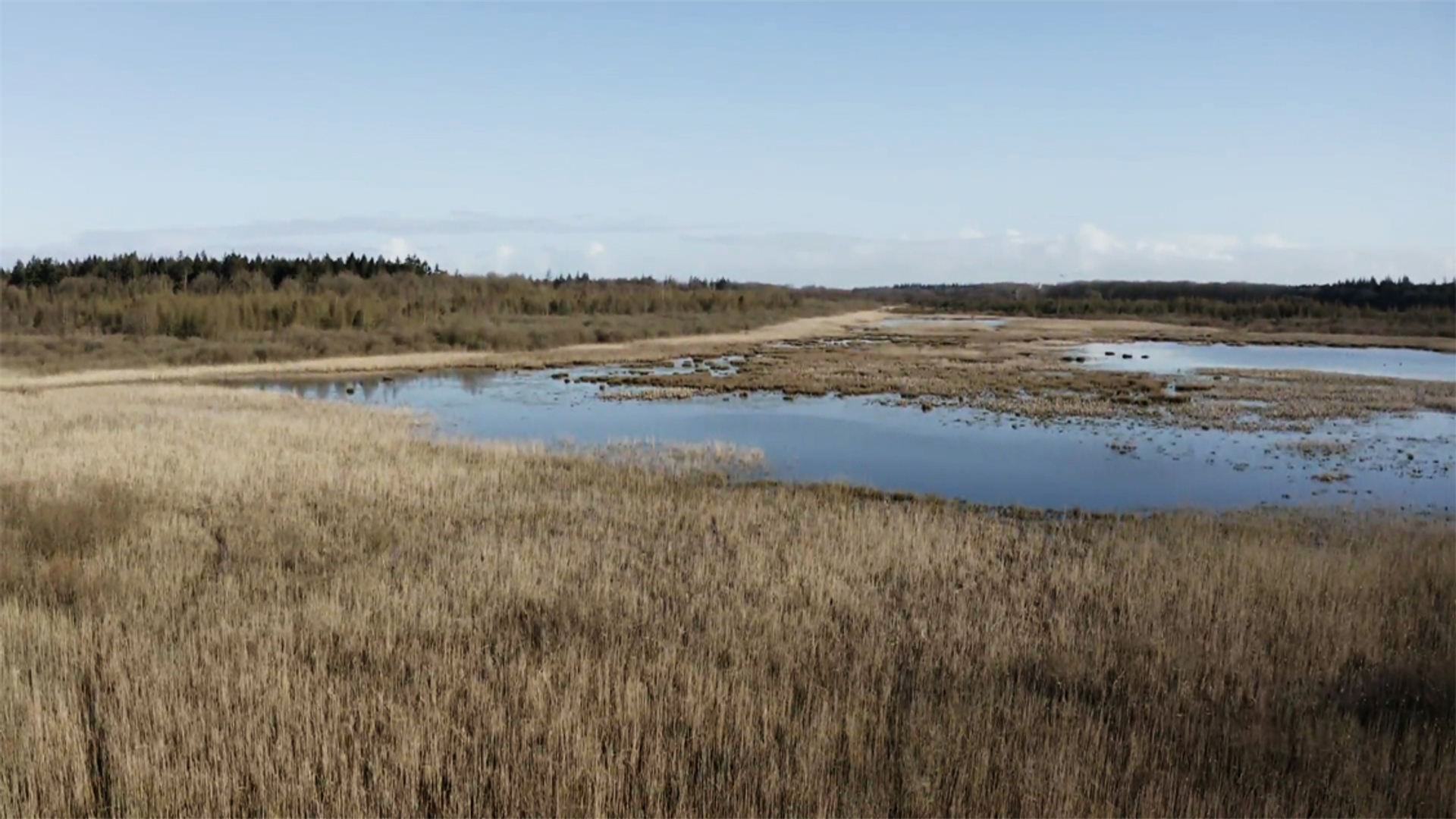 Holmers_Hart van Drenthe