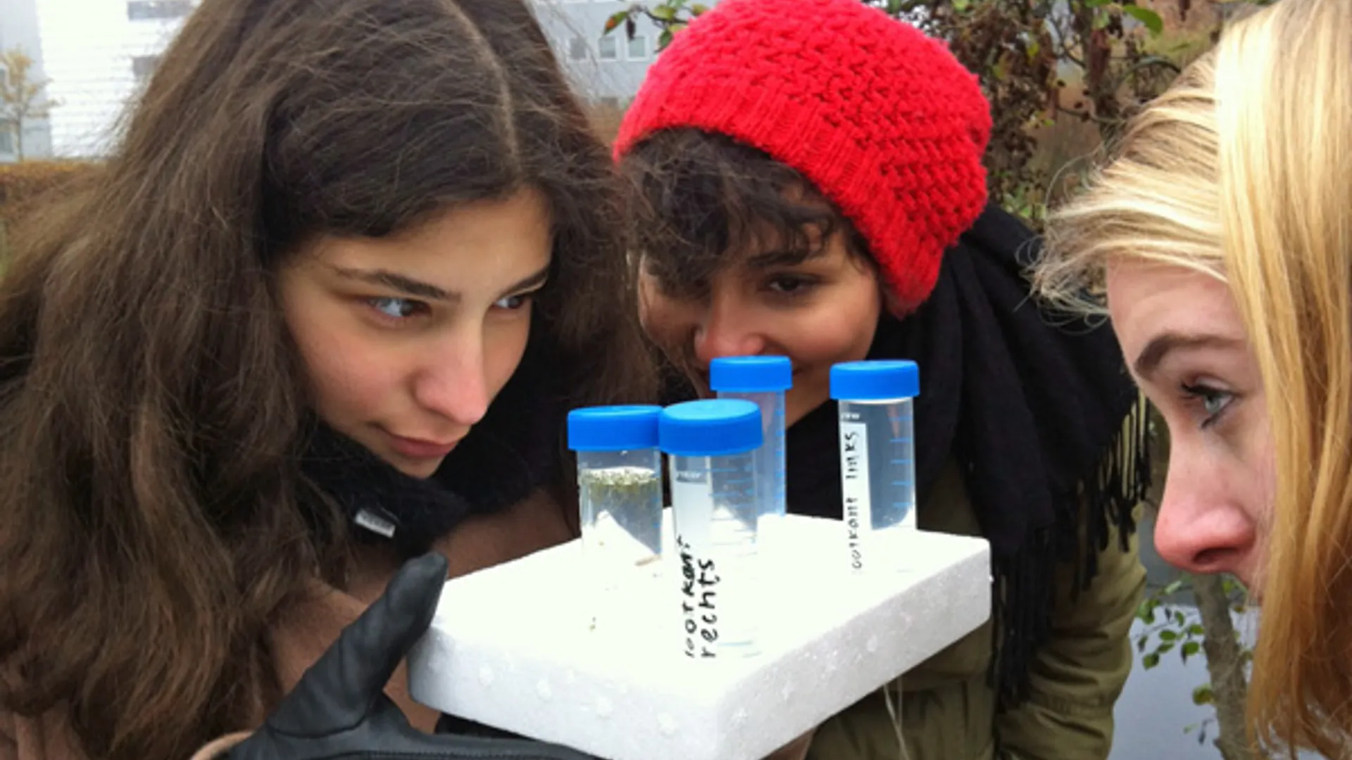 dna_onderzoek_leiden.jpg