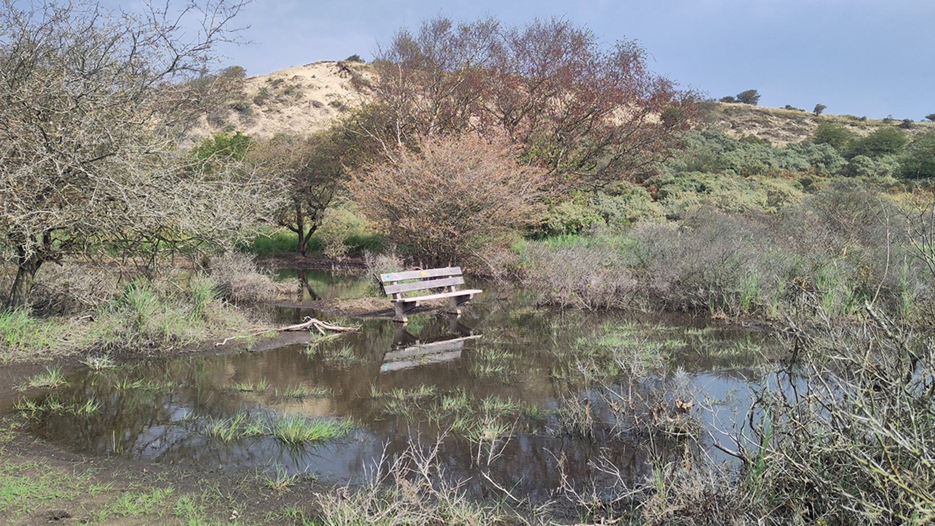 Grondwater Kennemerduinen