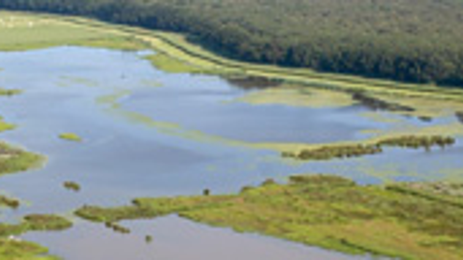 vv_newsimg_104865.jpg