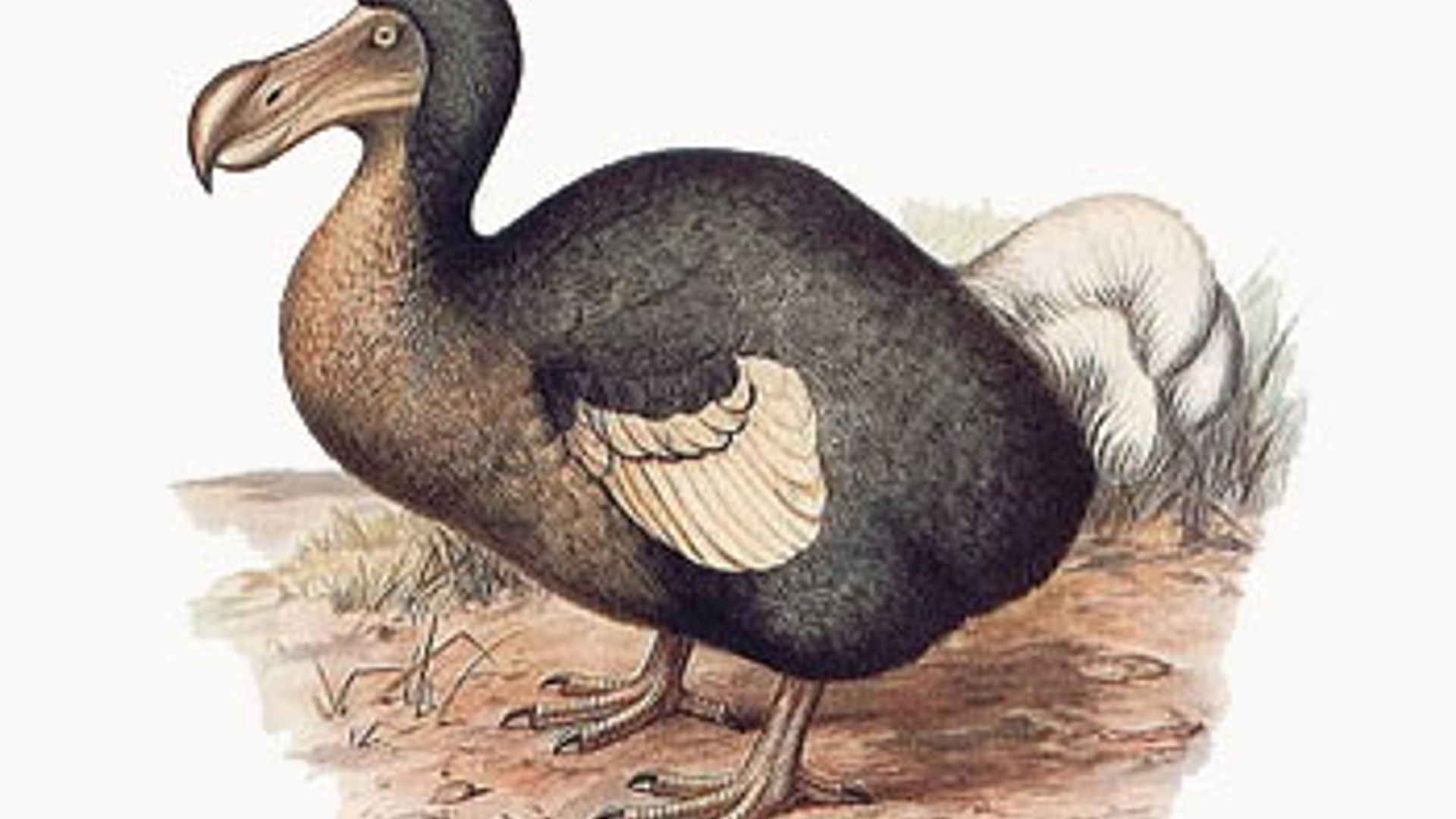 vv_newsimg_189985.jpg