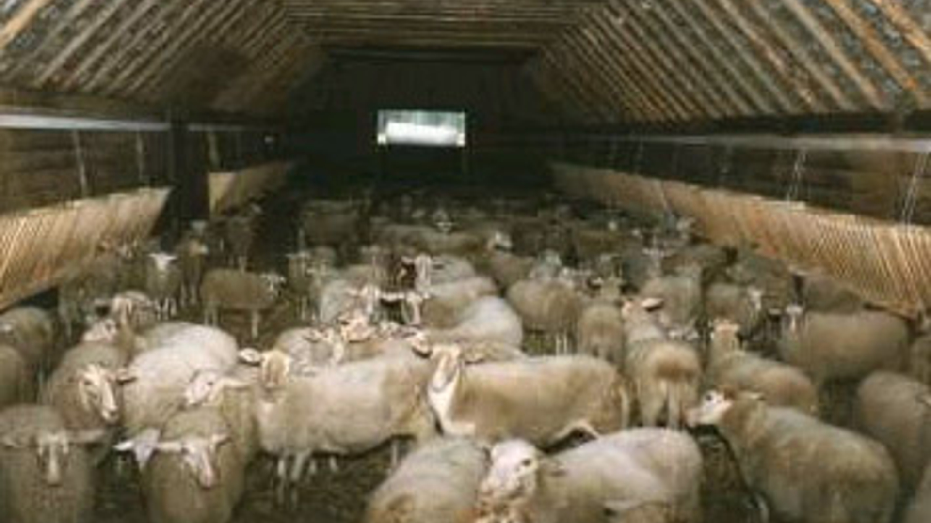vv_newsimg_119365.jpg