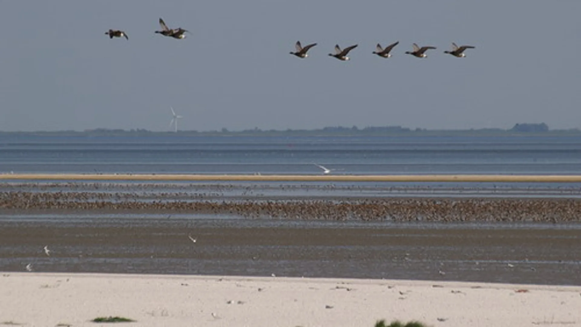 IMGP7890-small.jpg