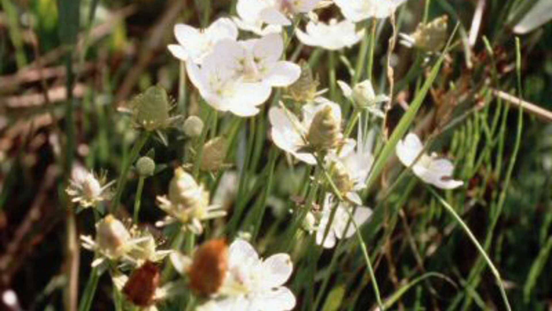 vv_newsimg_343574.jpg