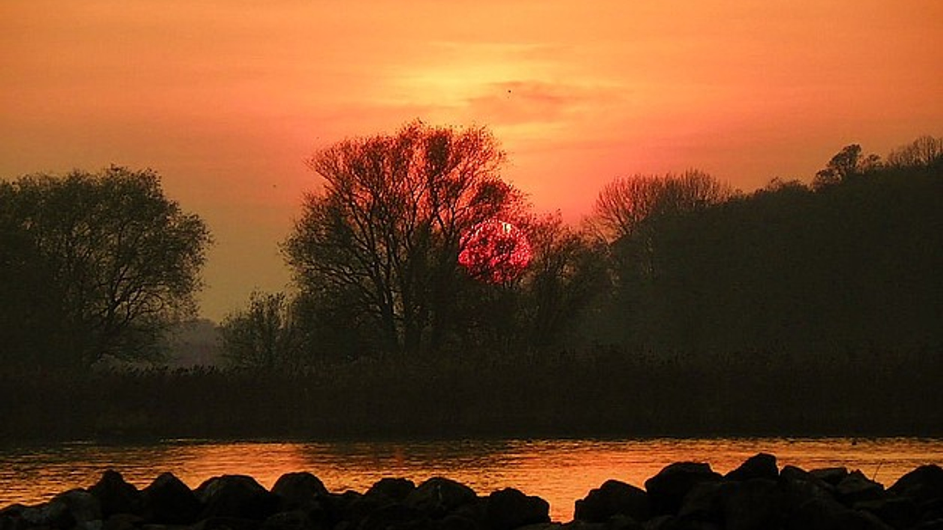 biesbosch_01.jpg
