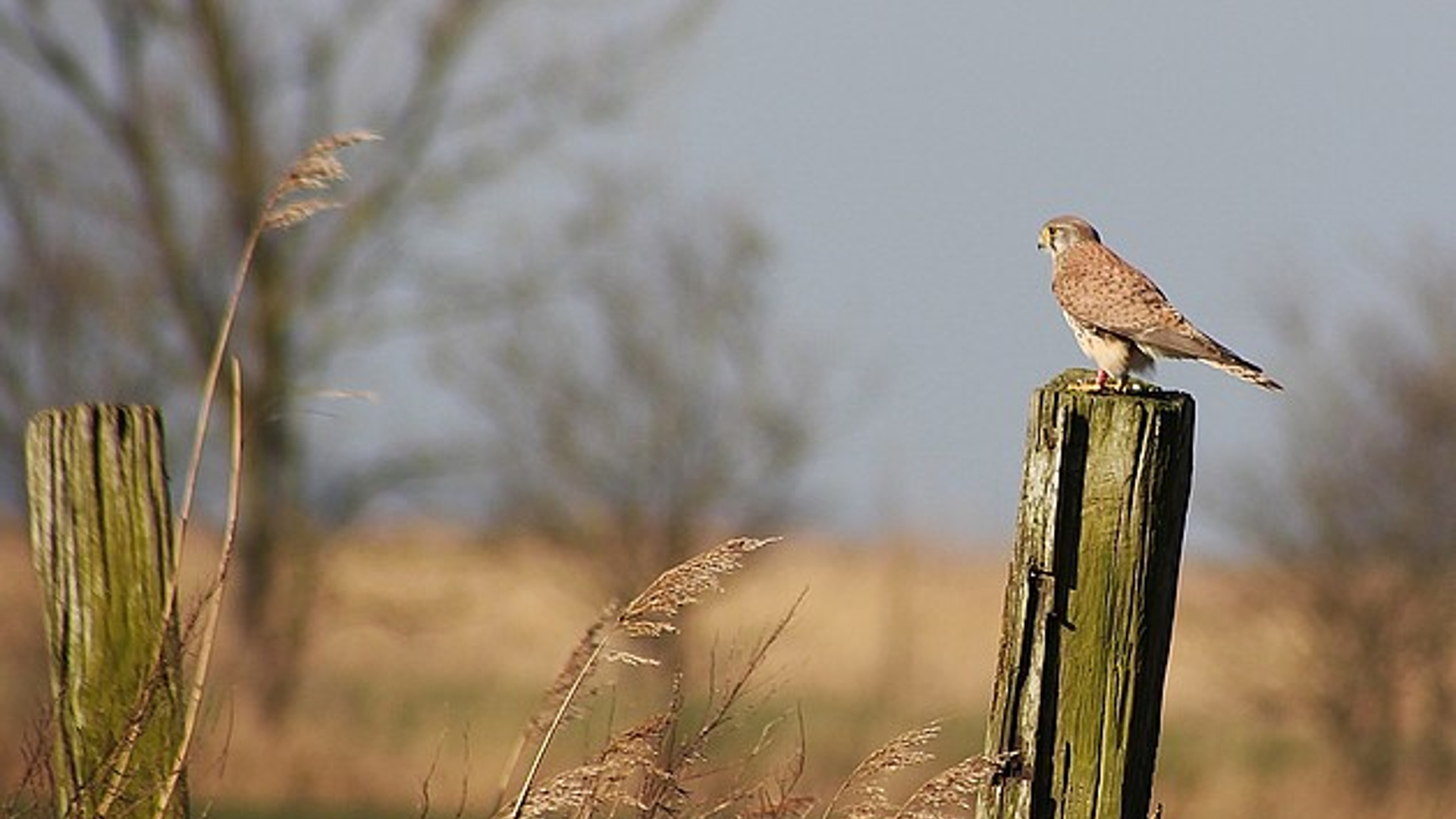 Lauwersmeer_door_geugjesRia_01.jpg