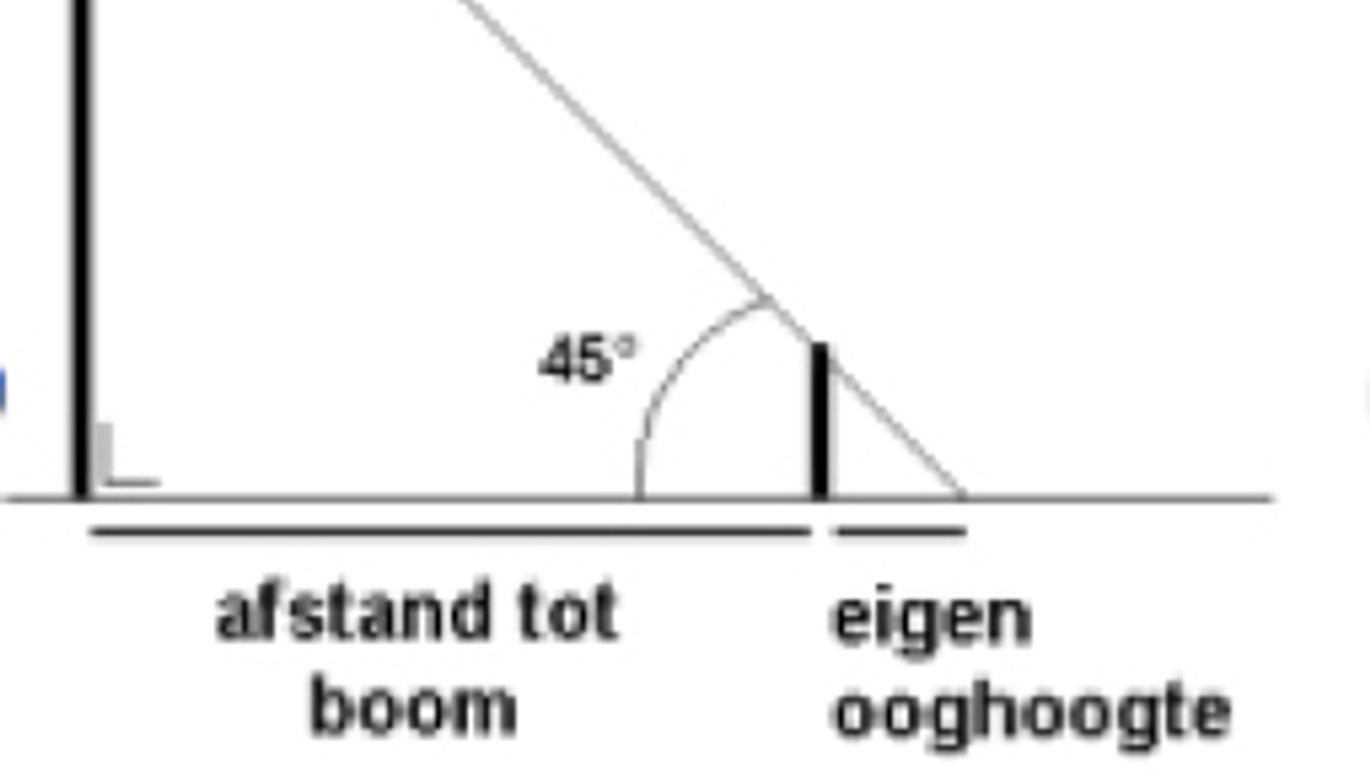 boomhoogte_meten.jpg