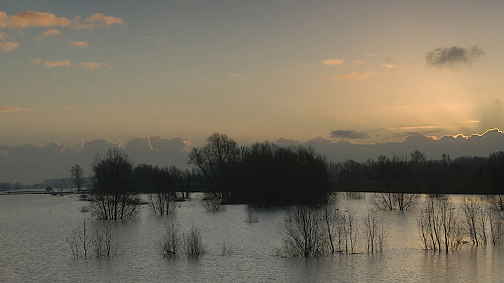 bisonbaai ooijpolder