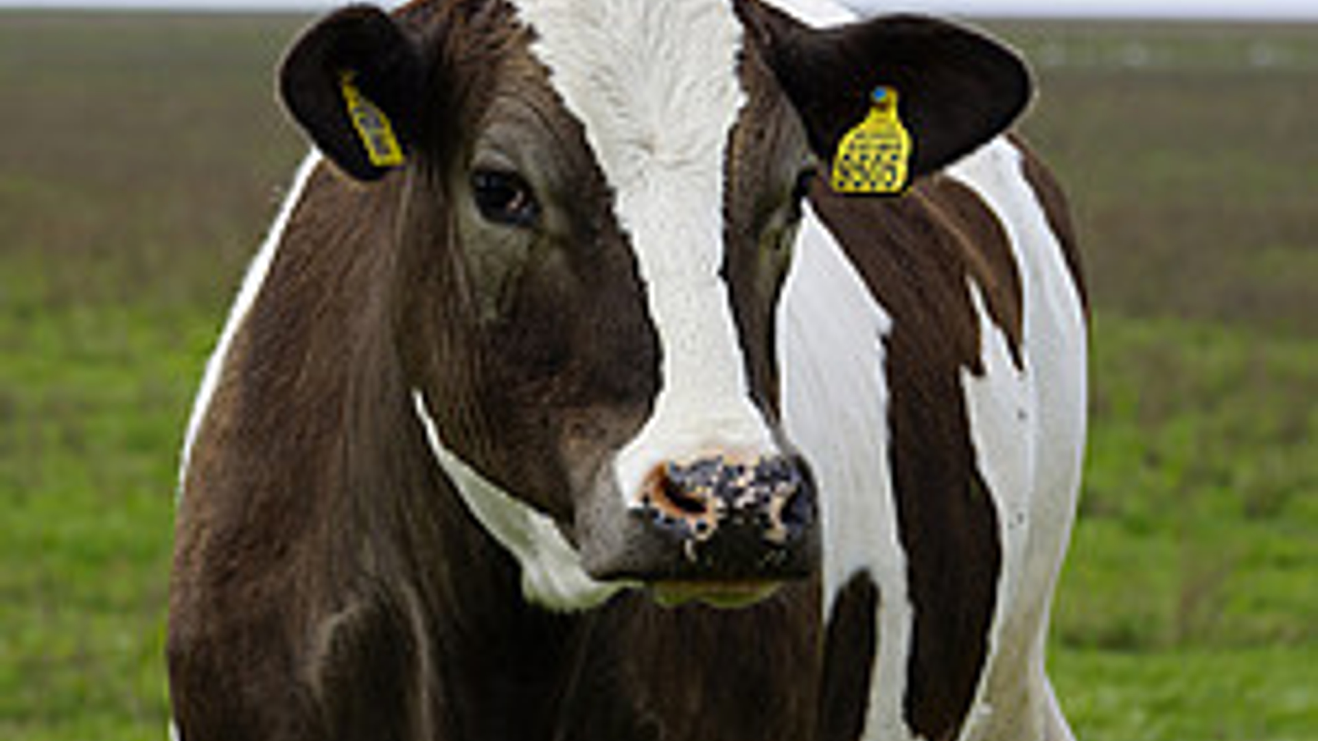 d0b75f1a48.jpg