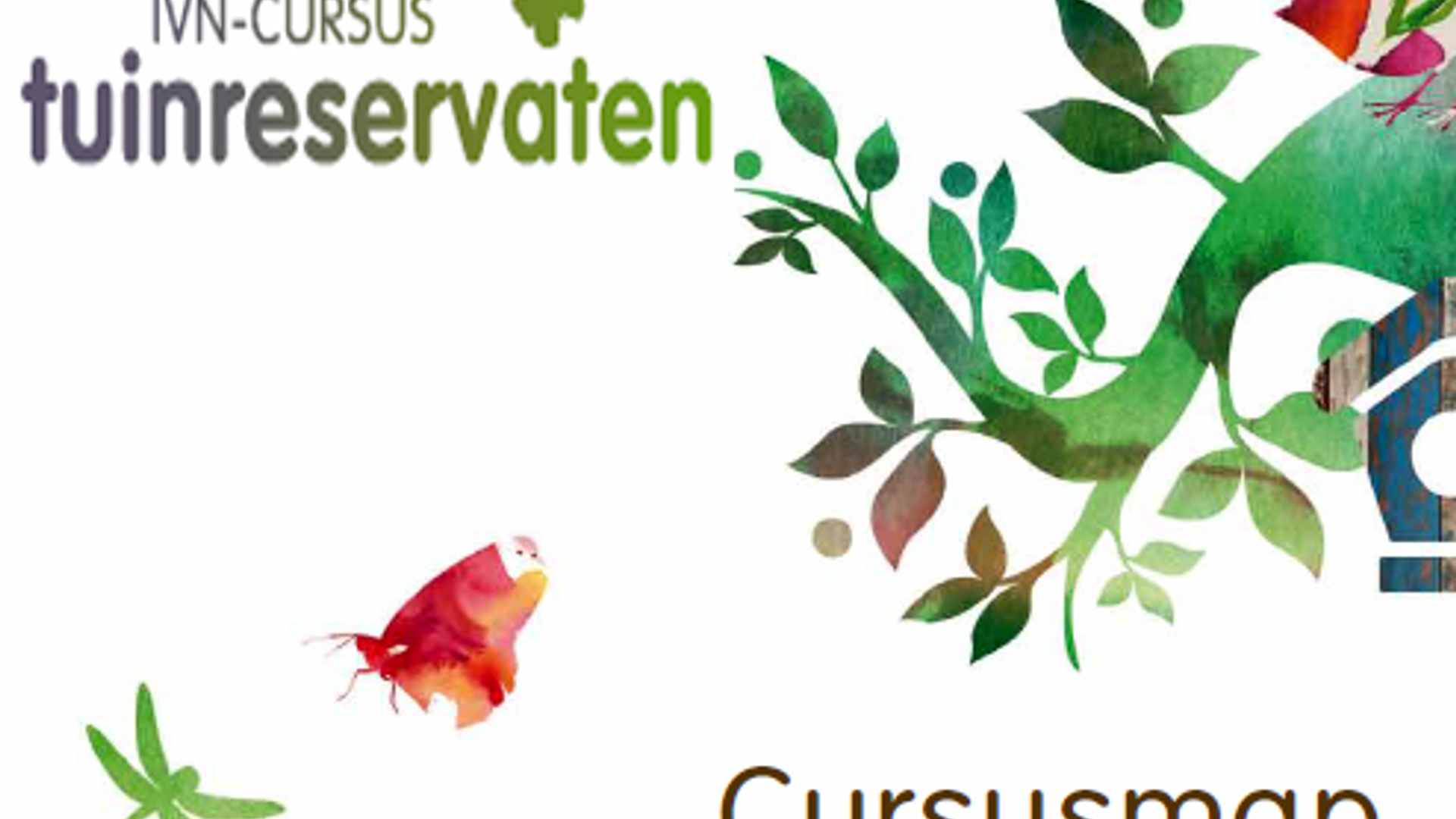 Cursus_IVN_01.jpg