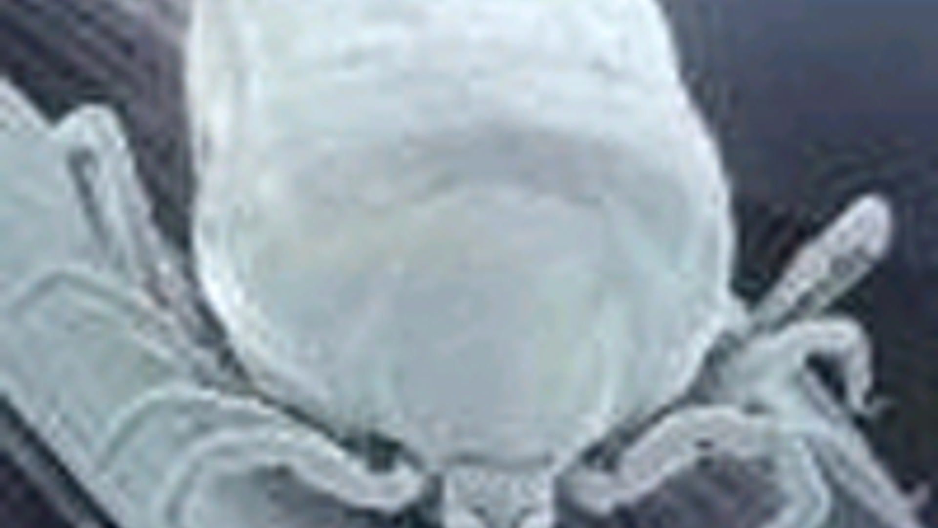 vv_newsimg_107189.jpg