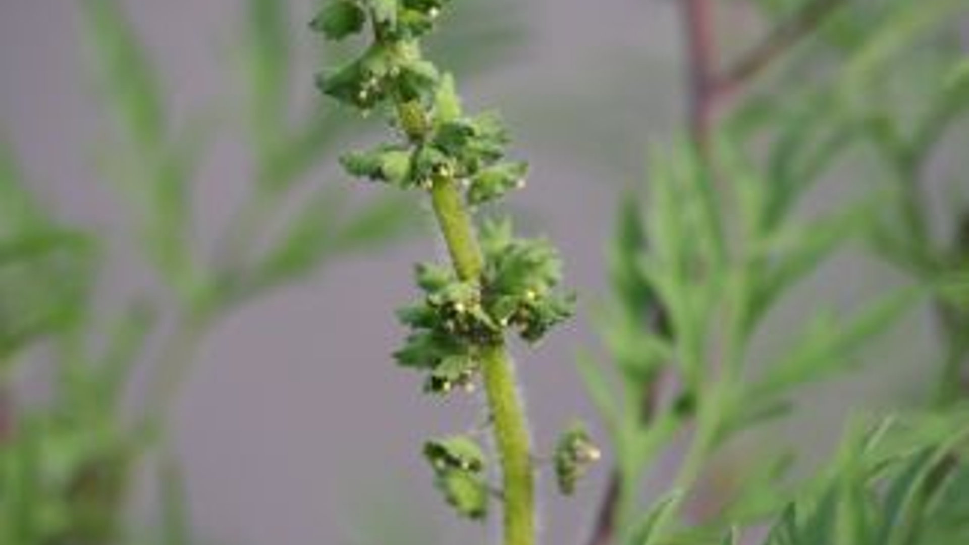 vv_newsimg_325479.jpg