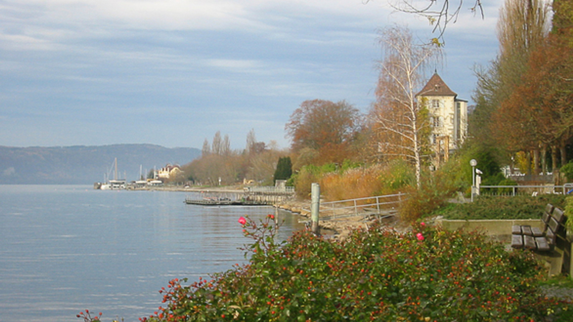 lake-constance-1380216.jpg