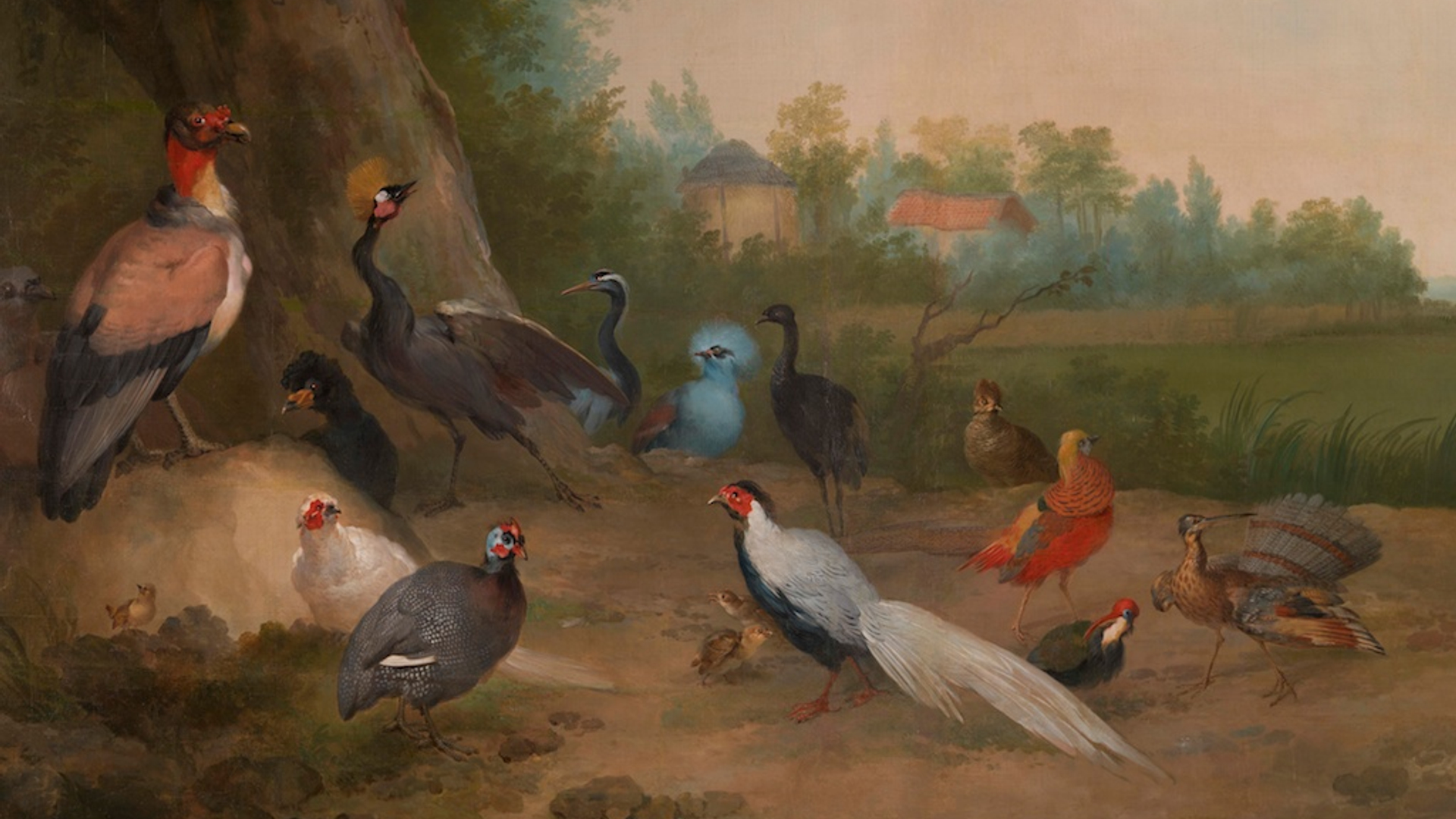 Aert Schouman-2