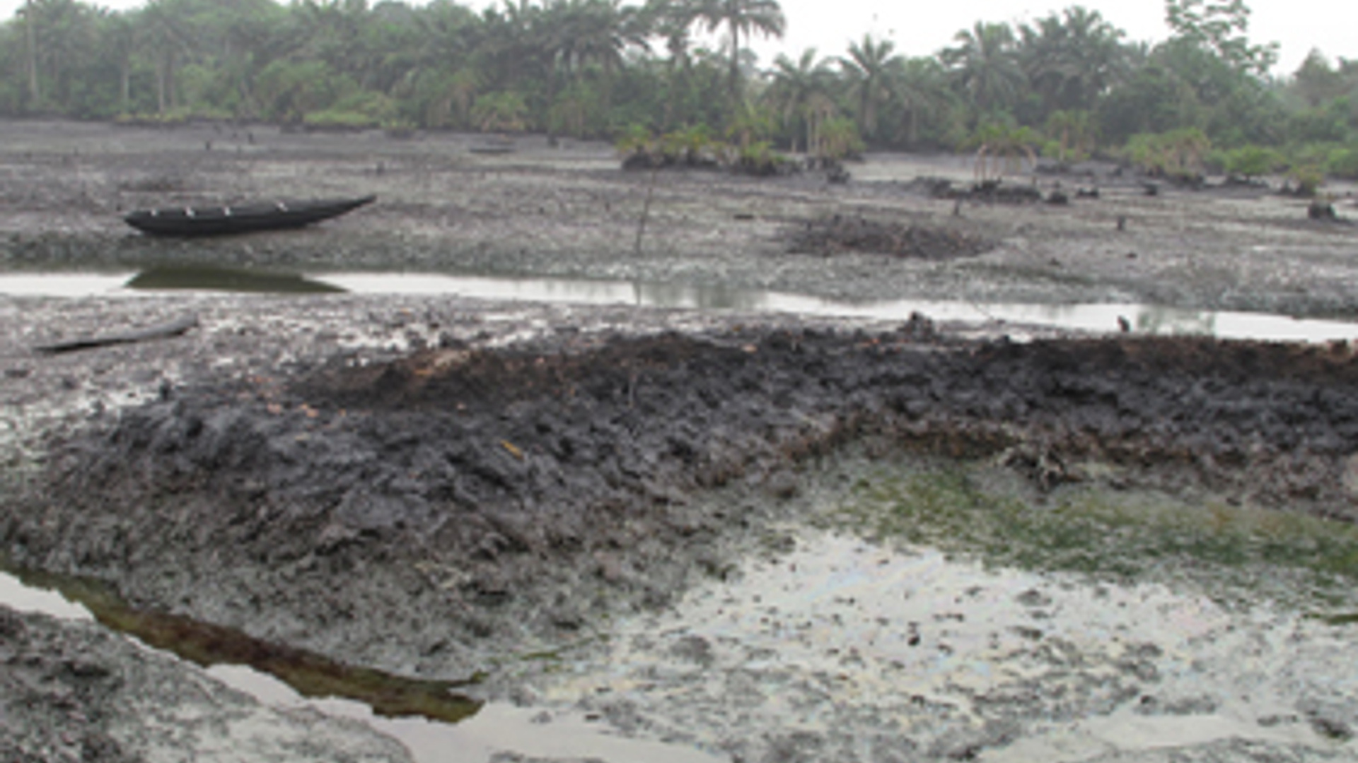 Nigerdelta_olie_Milieudefen.jpg