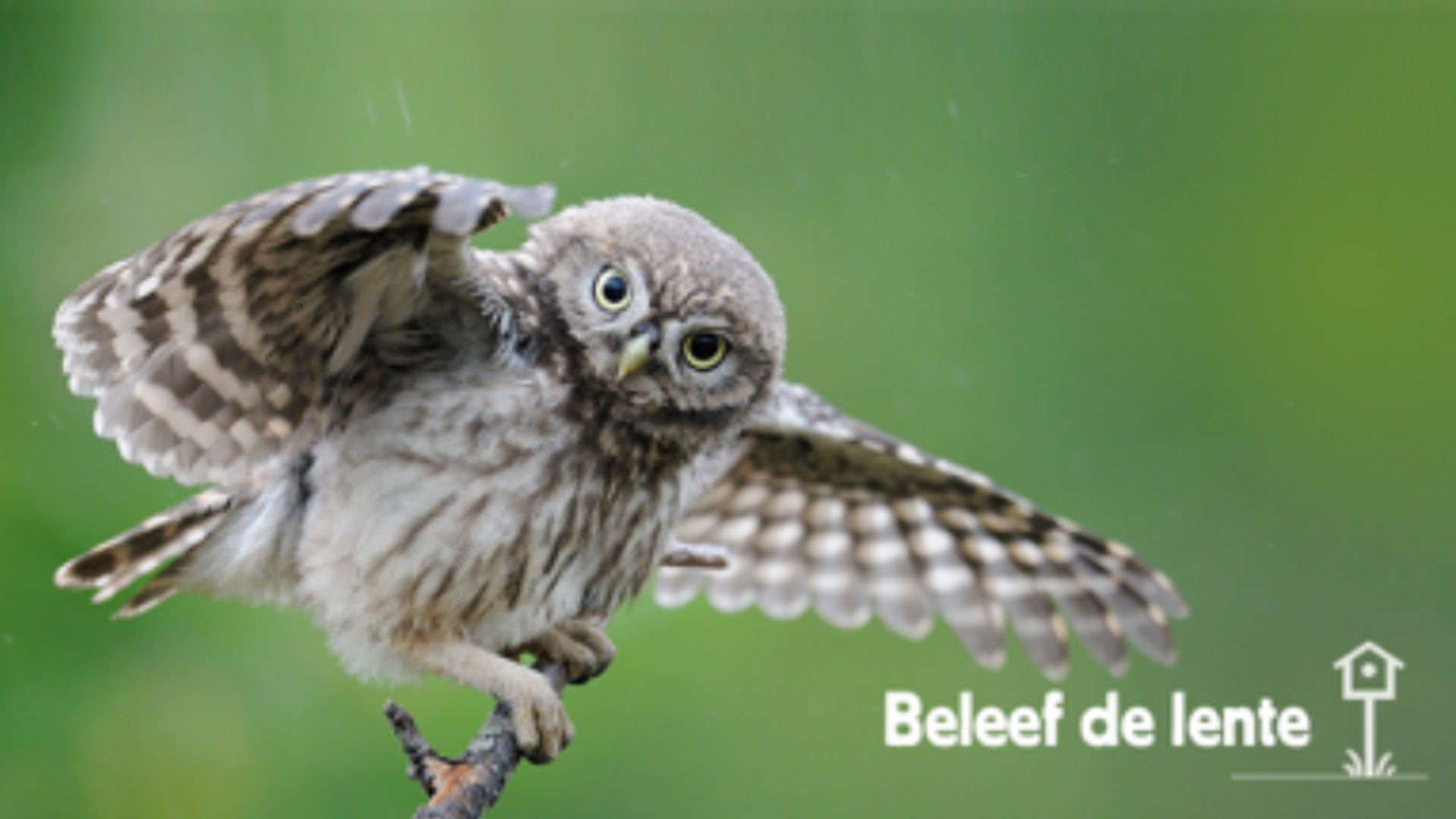 beleef de lente 2019