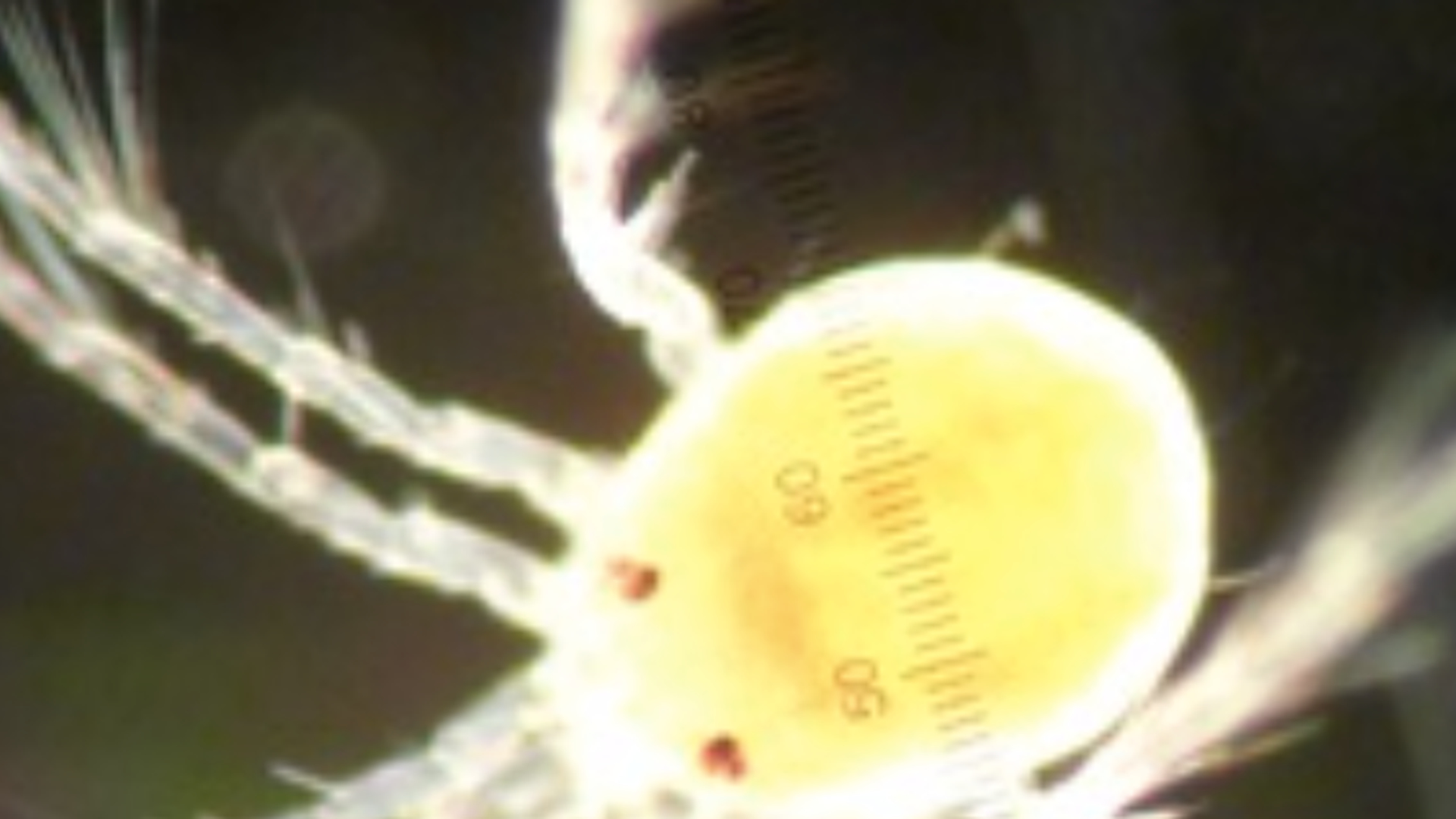 Schermafbeelding_2015-10-30_om_14.53.50.png