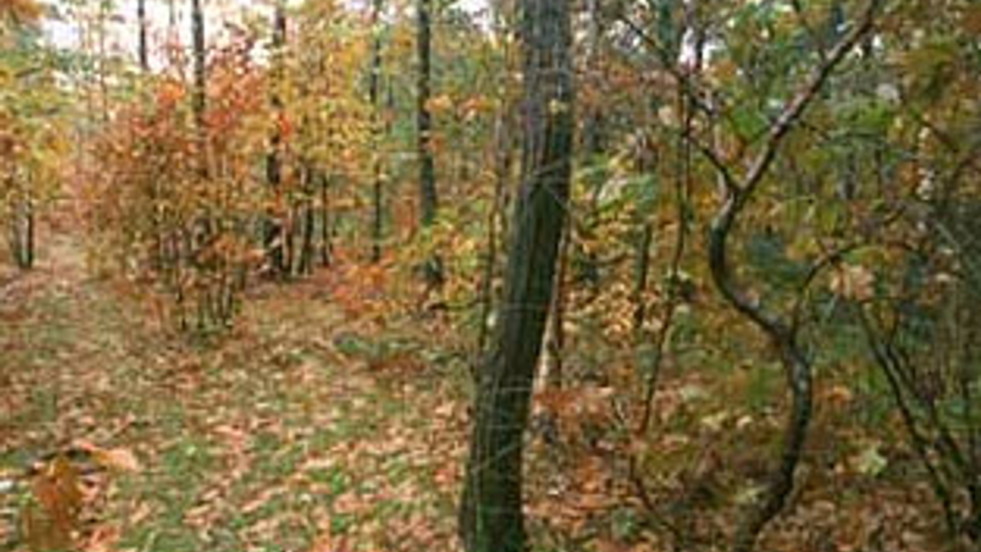 vv_newsimg_154212.jpg