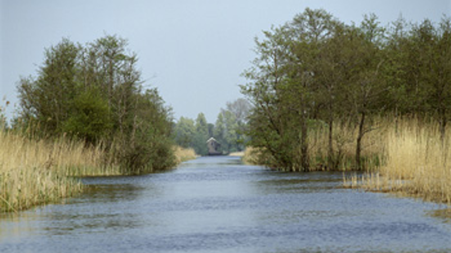 vv_newsimg_181455.jpg