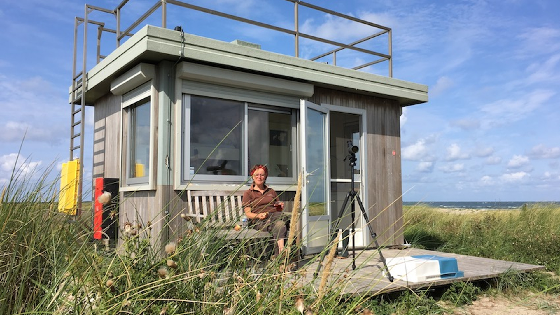 Arita Baaijens op de Boschplaat