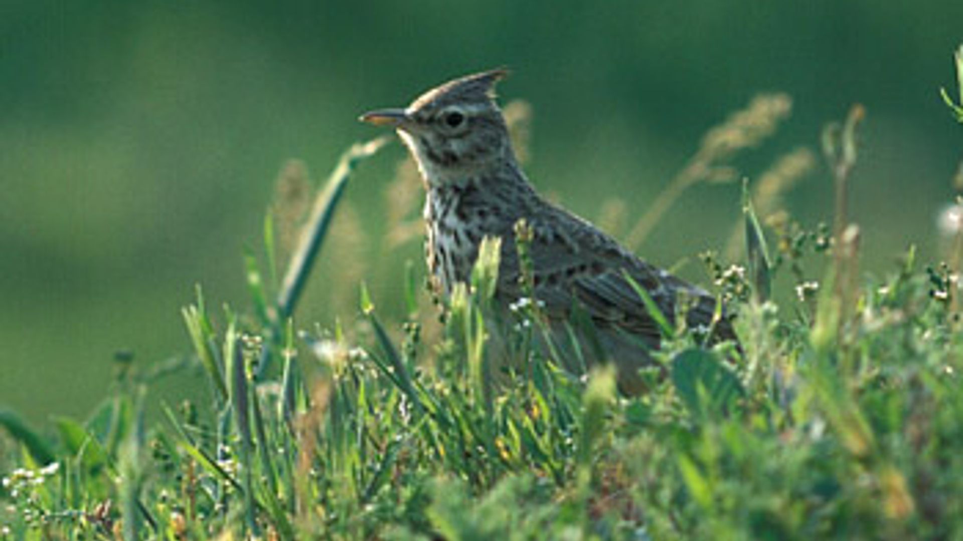 vv_newsimg_180723.jpg
