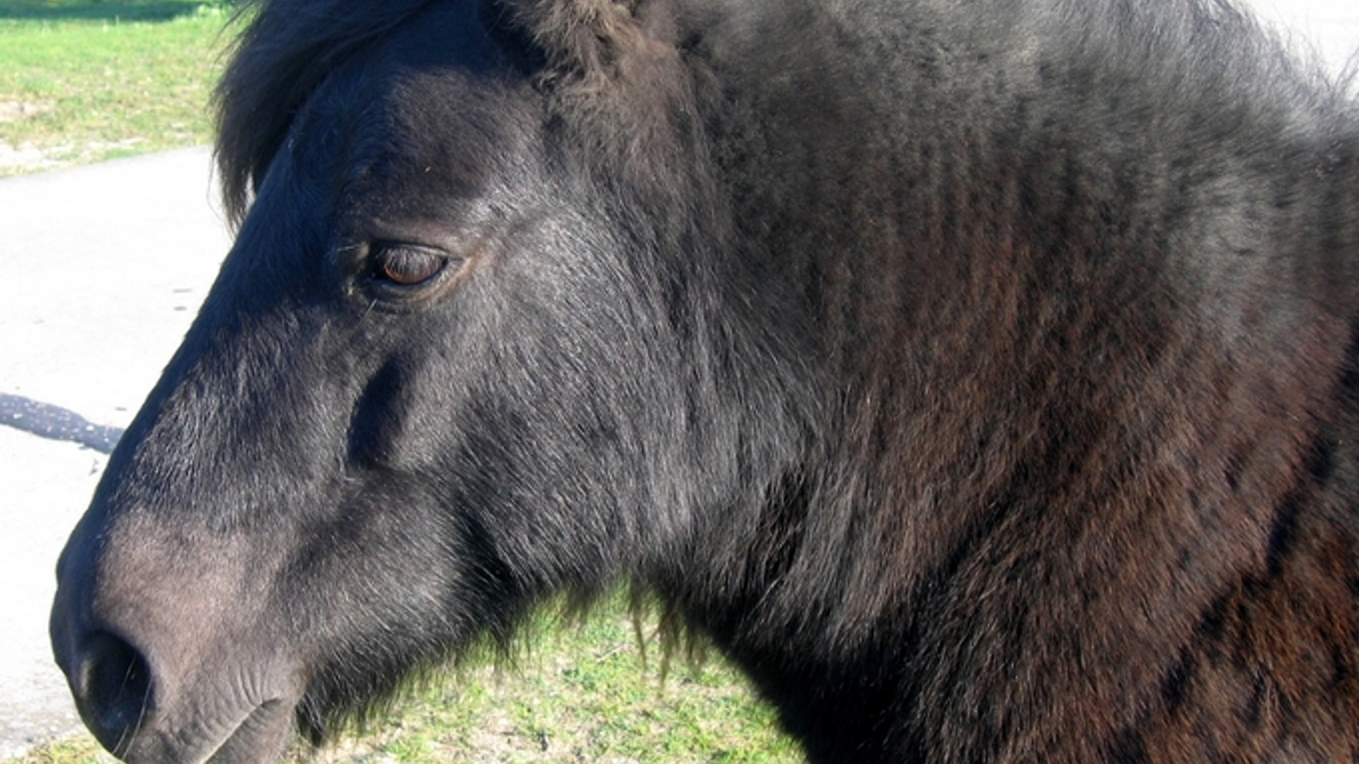 vv_newsimg_334116.jpg