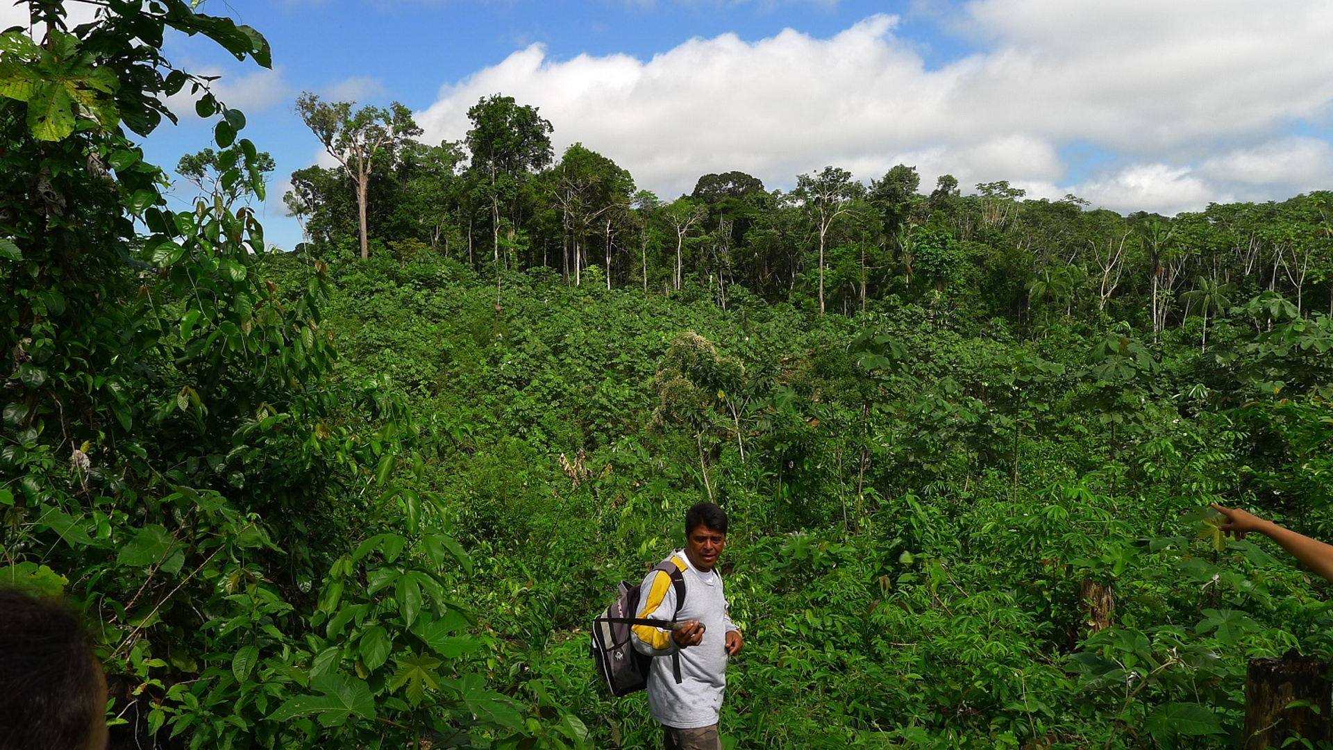 011_20160203_foto_SecondaryForests_Bongers_Tefe_Brazil_1_1000x1500.jpeg