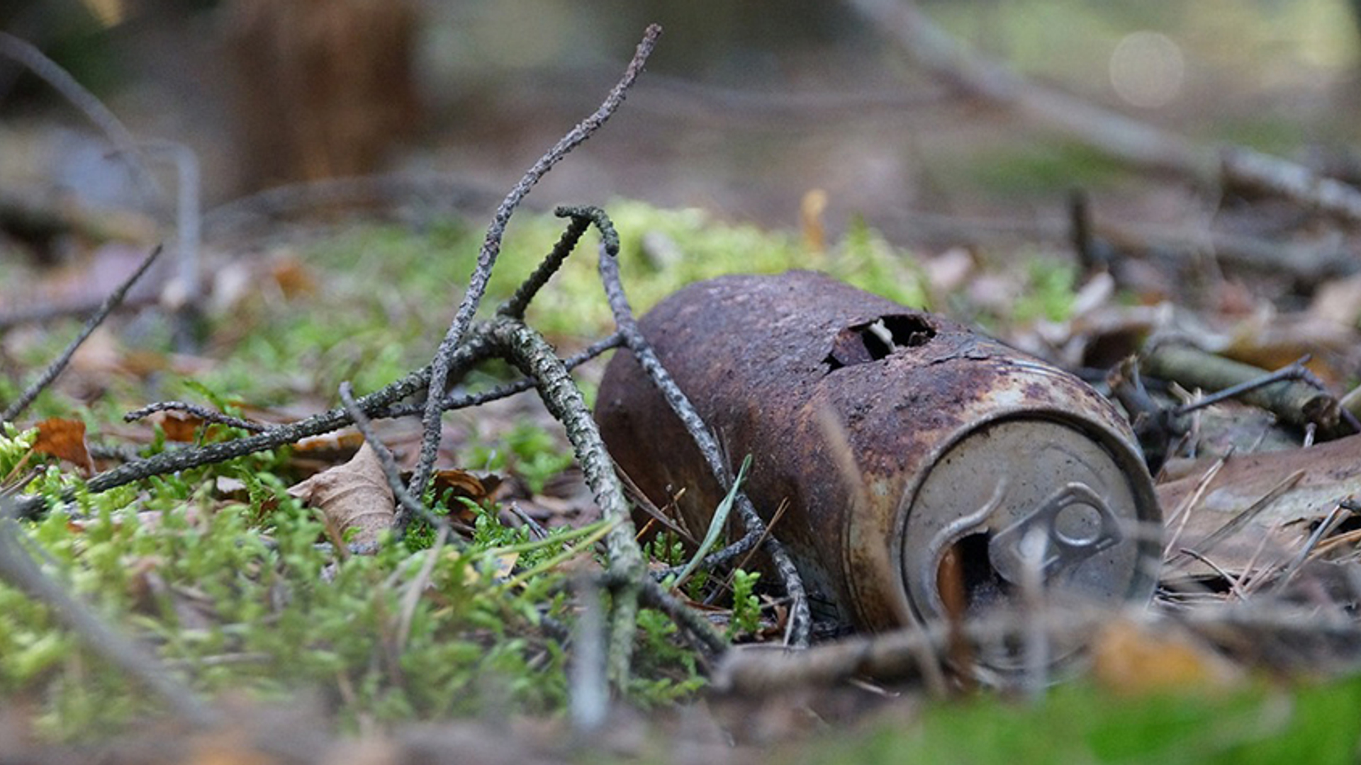 blikje in natuur