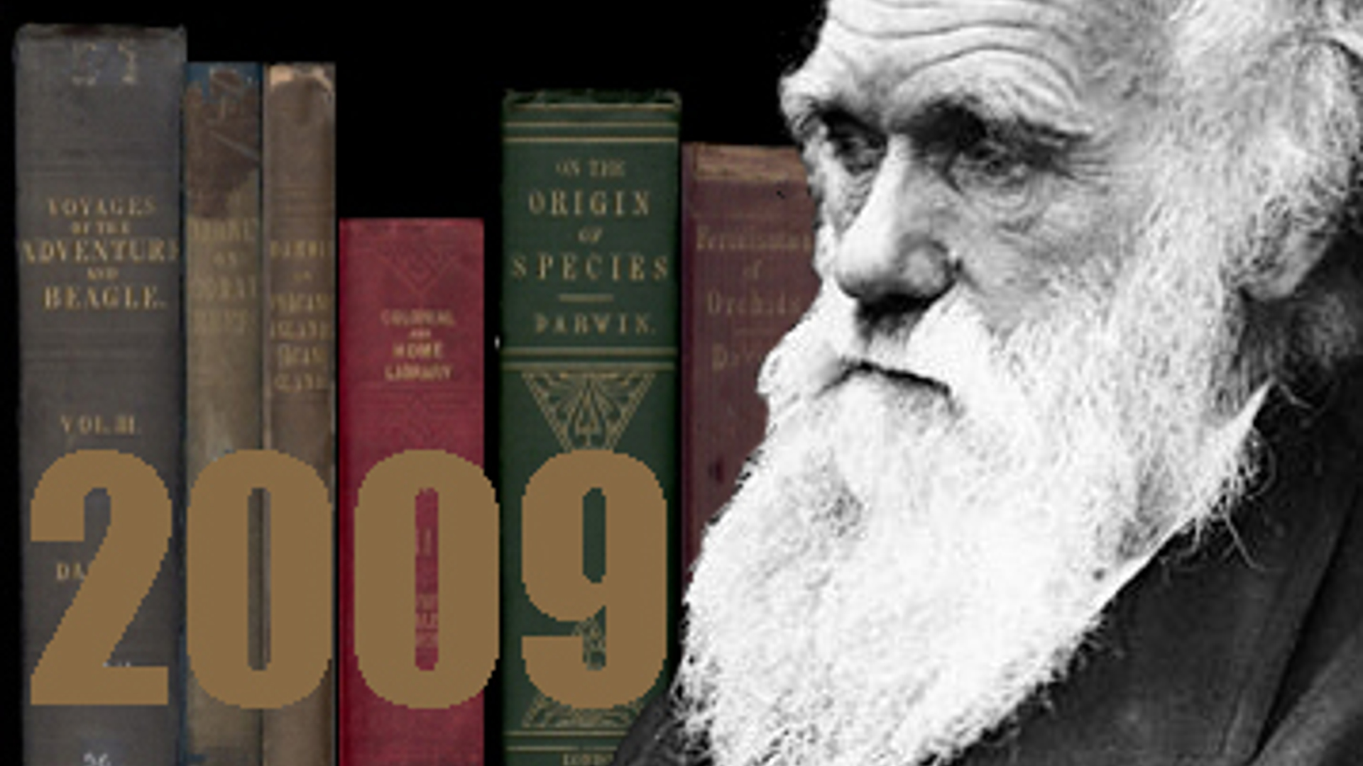 darwinjaar_02.jpg