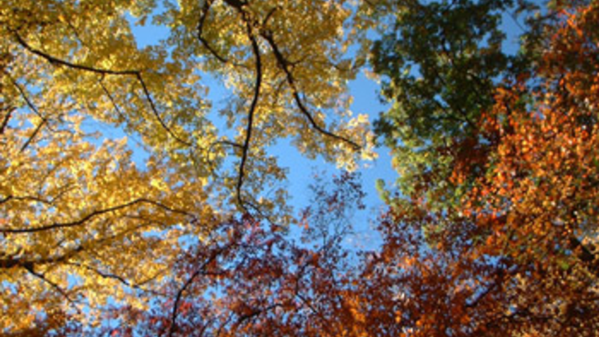 vv_newsimg_139092.jpg